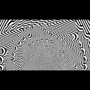 Meet your Posher, Chad